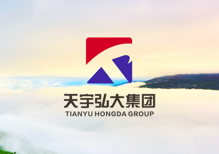 天宇弘大集团