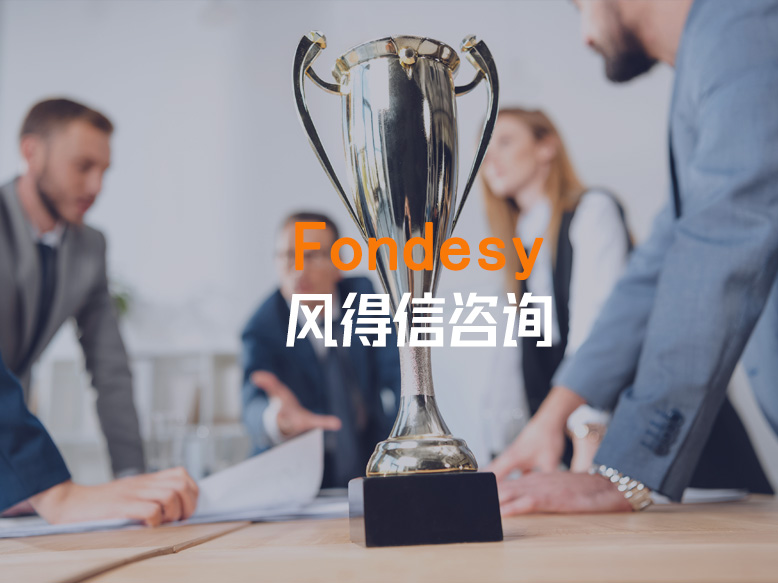 风得信咨询